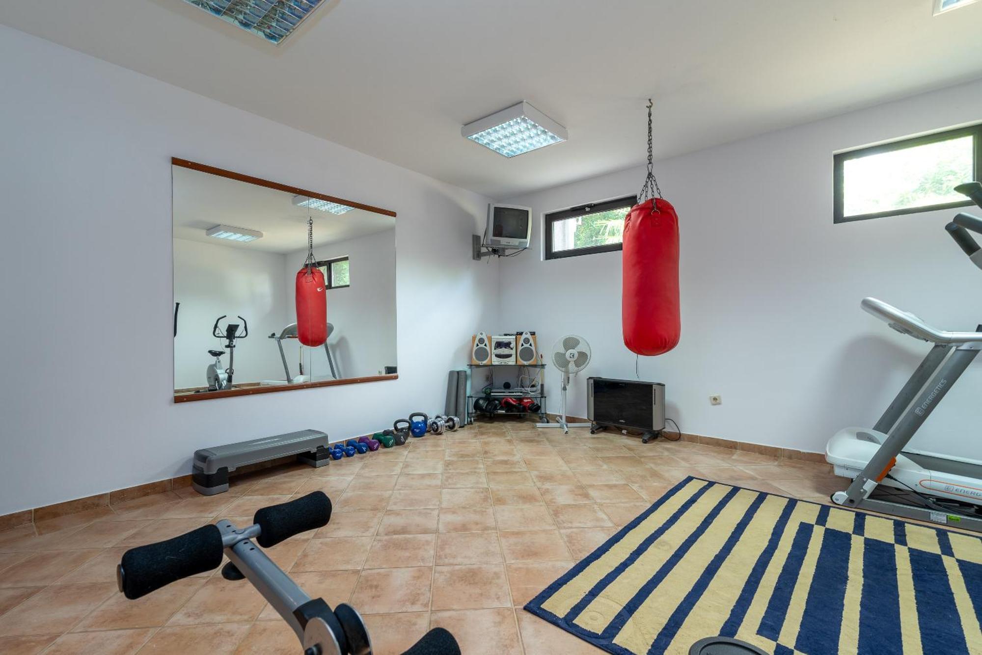 Maca & Apartment